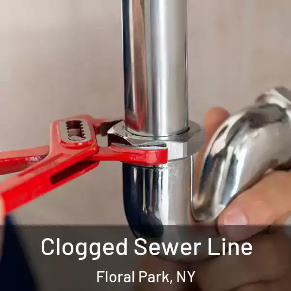  Clogged Sewer Line Floral Park, NY