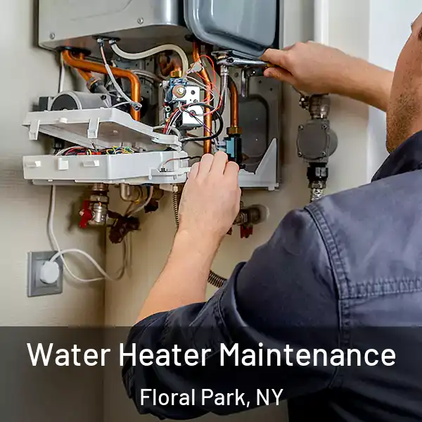  Water Heater Maintenance Floral Park, NY