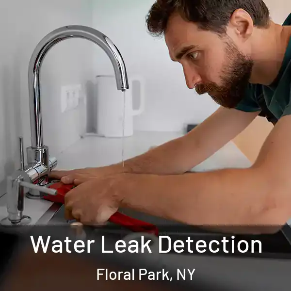  Water Leak Detection Floral Park, NY